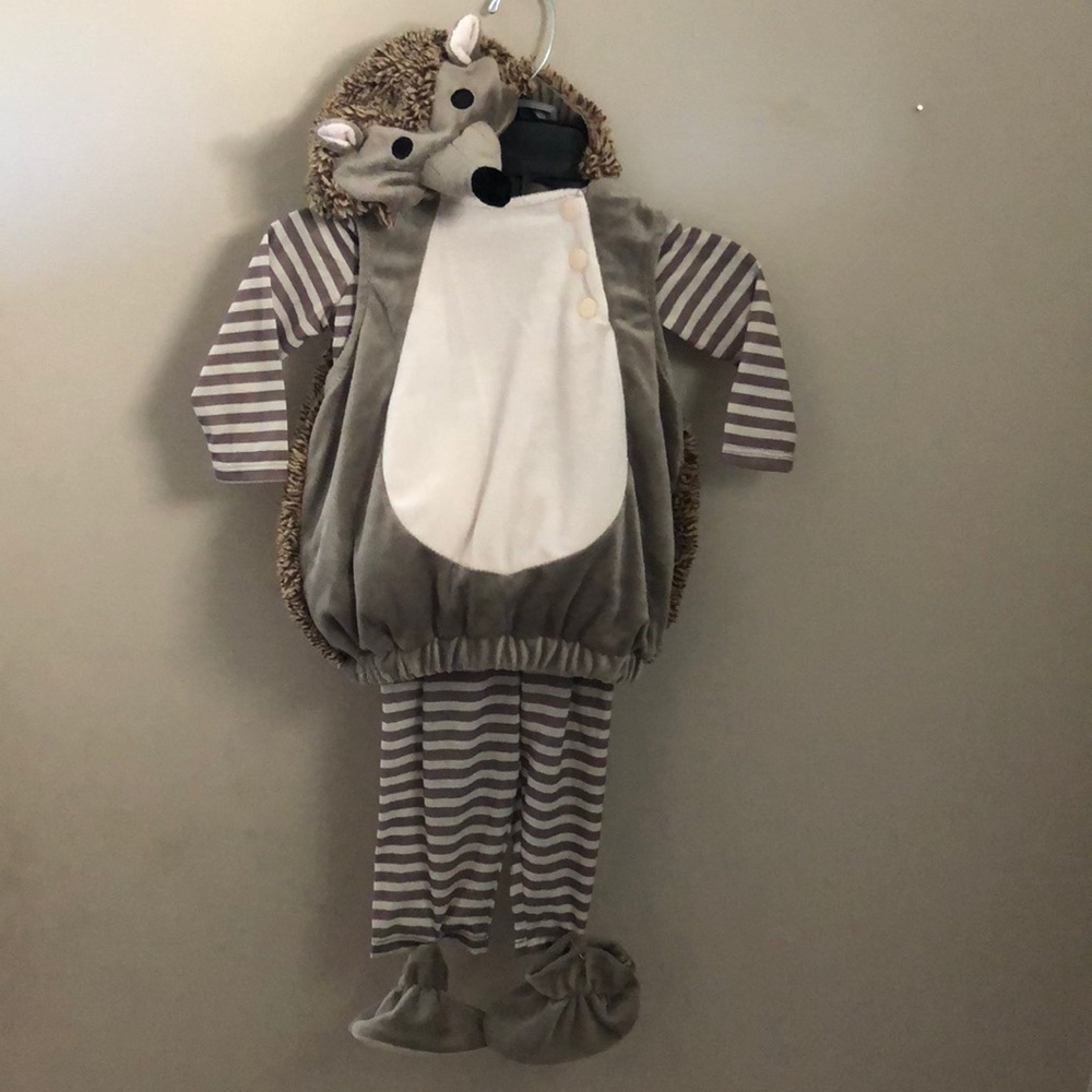 Plush Hedgehog Costume ~ 6-12 months ~ Like New